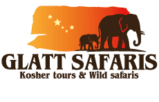 Kosher Safaris - Glatt Safaris (גלאט ספארי)‎